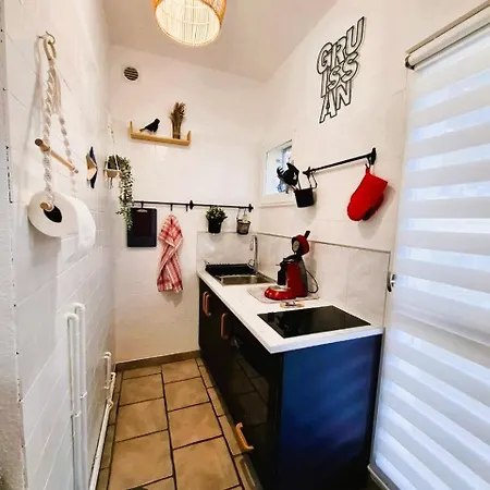 Rez De Jardin Climatise Avec Grande Terrasse Gruissan