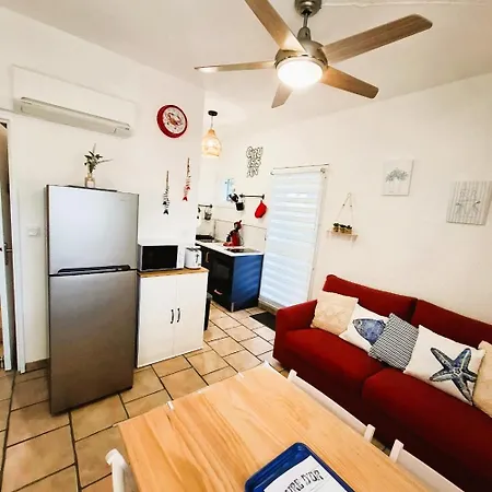 Rez De Jardin Climatise Avec Grande Terrasse