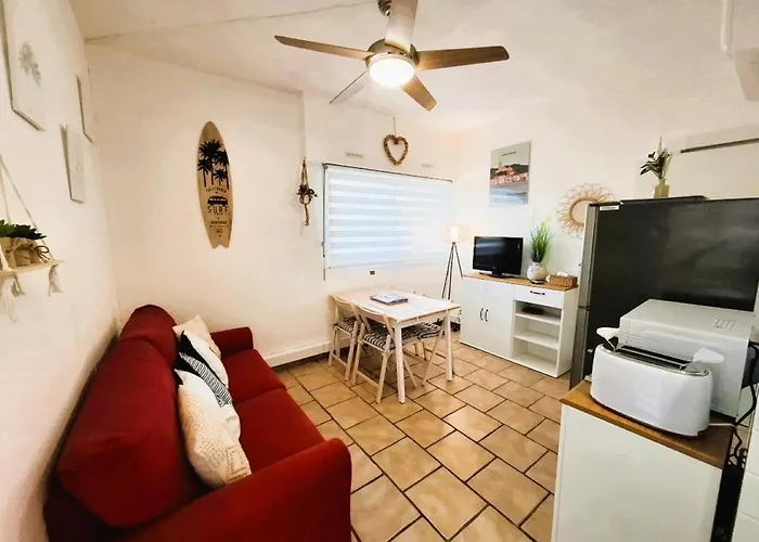 Rez De Jardin Climatise Avec Grande Terrasse *